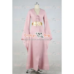 Game Of Thrones Cosplay Sansa Stark Costume