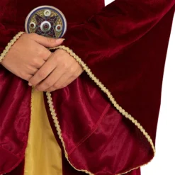 Lady Guinevere Costume For Women -Halloween Shop lady guinevere costume for women 3