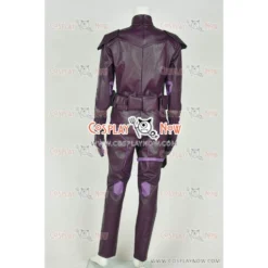 Young Justice Nightwing Cosplay Costume -Halloween Shop young justice nightwing cosplay costume wy009 1071 3a4